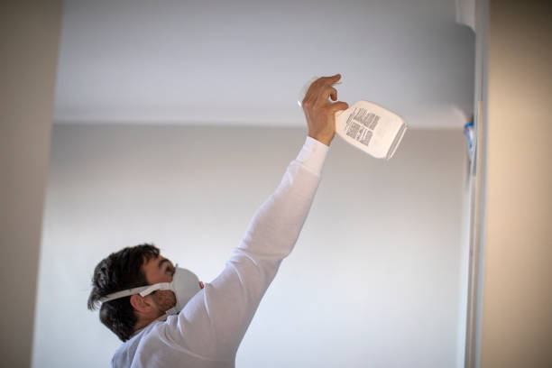 Best Mold Removal Company Near Me  in Saks, AL