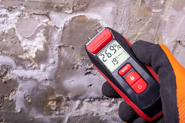 Best Water Damage Restoration  in Saks, AL
