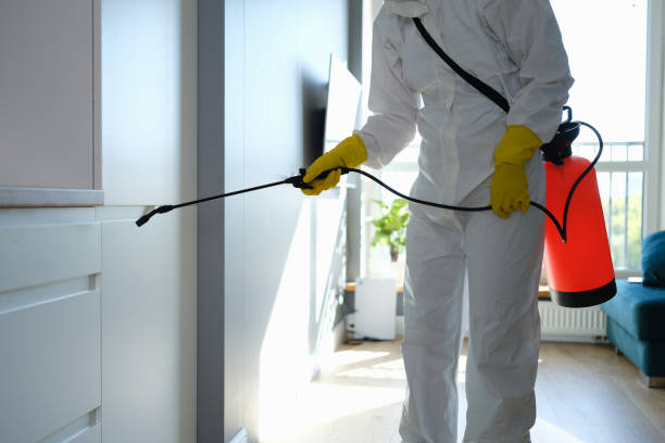 Best Home Mold Removal  in Saks, AL