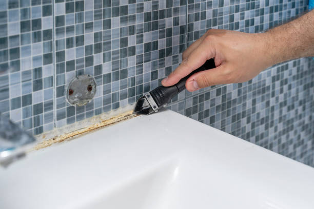 Best Toxic Mold Removal  in Saks, AL