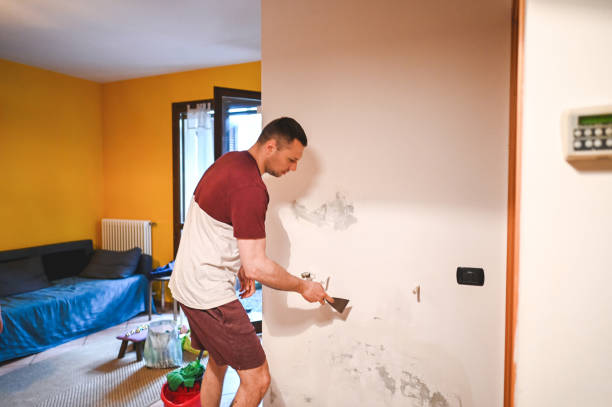 Reliable Saks, AL Mold Removal Solutions